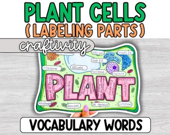 Plant Cell Labeling Project, Diagram Activity, Craftivity, Middle School, Science Classroom, Plant Cell Anatomy, 6th grade