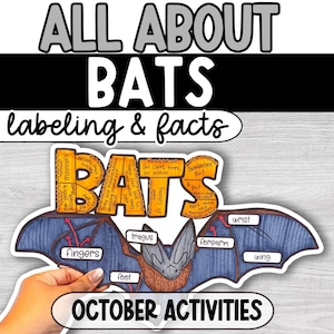 以下が含まれることがあります： ALL ABOUT BATS labeling & factsというタイトルの教育用ワークシート。手描きのコウモリのイラストがあり、指、耳珠、足、手首、前腕、翼などの解剖学的部位がラベル付けされ、コウモリの事実に関するテキストブロックが含まれています。