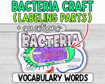 Bacteria Prokaryotic Cell Diagram Labeling Project Activity, Coloring Page, Bulletin Board, Craft, Middle School, Science Classroom