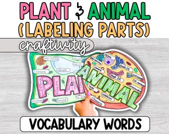 Plant and Animal Cell Labeling Project, Coloring Page, Diagram Activity, Craft, Middle School, Science Classroom, Cell Anatomy, 6th grade