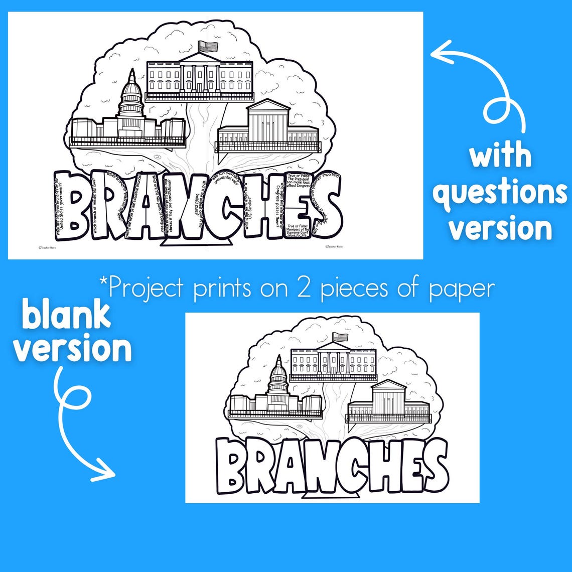 3 Branches of Government Worksheet Activity Project, the Amendments ...