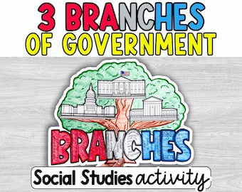 3 Branches of Government Worksheet Activity Project, The Amendments, Civics, US Constitution, US History, American History, WRDZ Crafts®