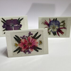 Real Flower Enclosure Cards - Set of 12