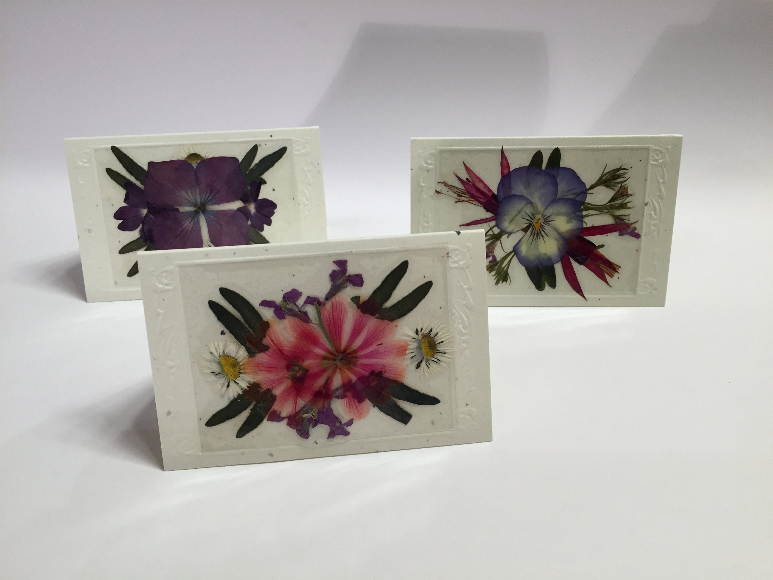 Real Flower Enclosure Cards Set of 12 Etsy
