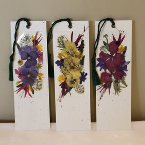Segnalibri con fiori veri - Set da 8