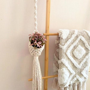 Könnte beinhalten: Ein weißer Makramee-Pflanzenhänger mit Quaste, der eine kleine Topfpflanze mit rosa und grünen Blättern hält. Der Hänger hängt an einer Holzleiter, über die eine weiße und beige gemusterte Wolldecke gelegt ist.