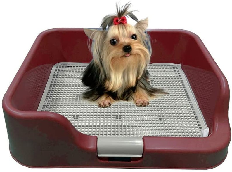 Dog Potty Tray Training Pad BOX Indoorwith Protection Wall Etsy
