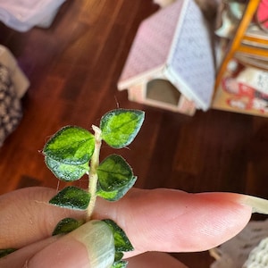 May include: Close-up of a small plant stem with green and yellow leaves. The leaves have a textured appearance. The plant is held between fingers. A miniature house with a pink roof is in the background.