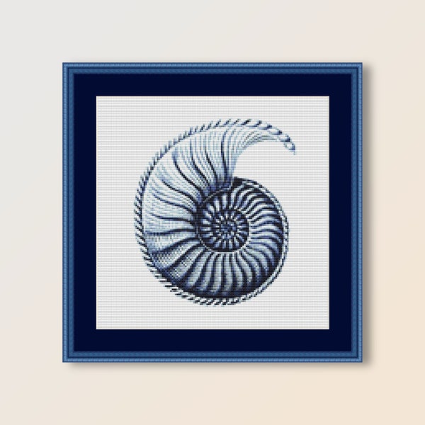 Patrón de punto de cruz de concha de Nautilus azul, Ernst Haeckel, gráfico de vida marina de descarga digital instantánea (457)