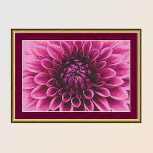 Printable Pink Dahlia Cross Stitch Pattern, Instant Digital Download Floral Chart (839)