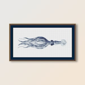 May include: A framed illustration of a blue squid with detailed tentacles and a white background.