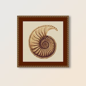 Korsstygnsmönster med sjösnäcka, Ernst Haeckel, direkt nedladdning av havslivsdiagram (578)