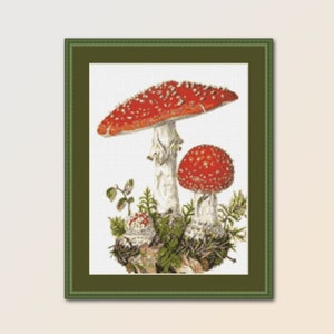 Padrão de ponto cruz Fly Agaric, cogumelo Amanita Muscaria, download digital instantâneo, gráfico botânico para impressão (662)