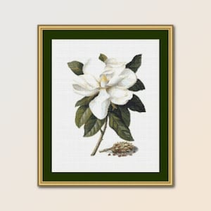 Printable Magnolia Cross Stitch Pattern, Instant Digital Download Floral Chart, Georg Dionysius Ehret (880)