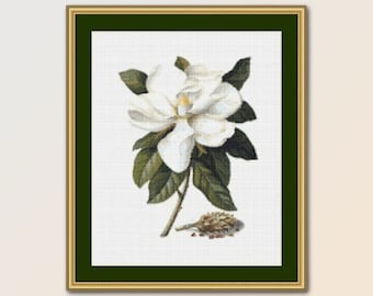 Printable Magnolia Cross Stitch Pattern, Instant Digital Download Floral Chart, Georg Dionysius Ehret (880)