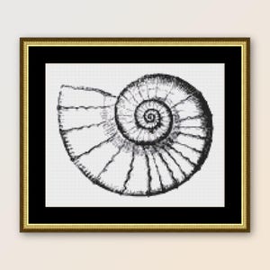 May include: Black and white line drawing of a seashell with a spiral pattern.