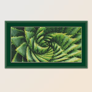 Druckbare Sukkulenten Kreuzstichmuster, Aloe Pflanze, sofortiger digitaler Download, botanische Fotokarte (862)