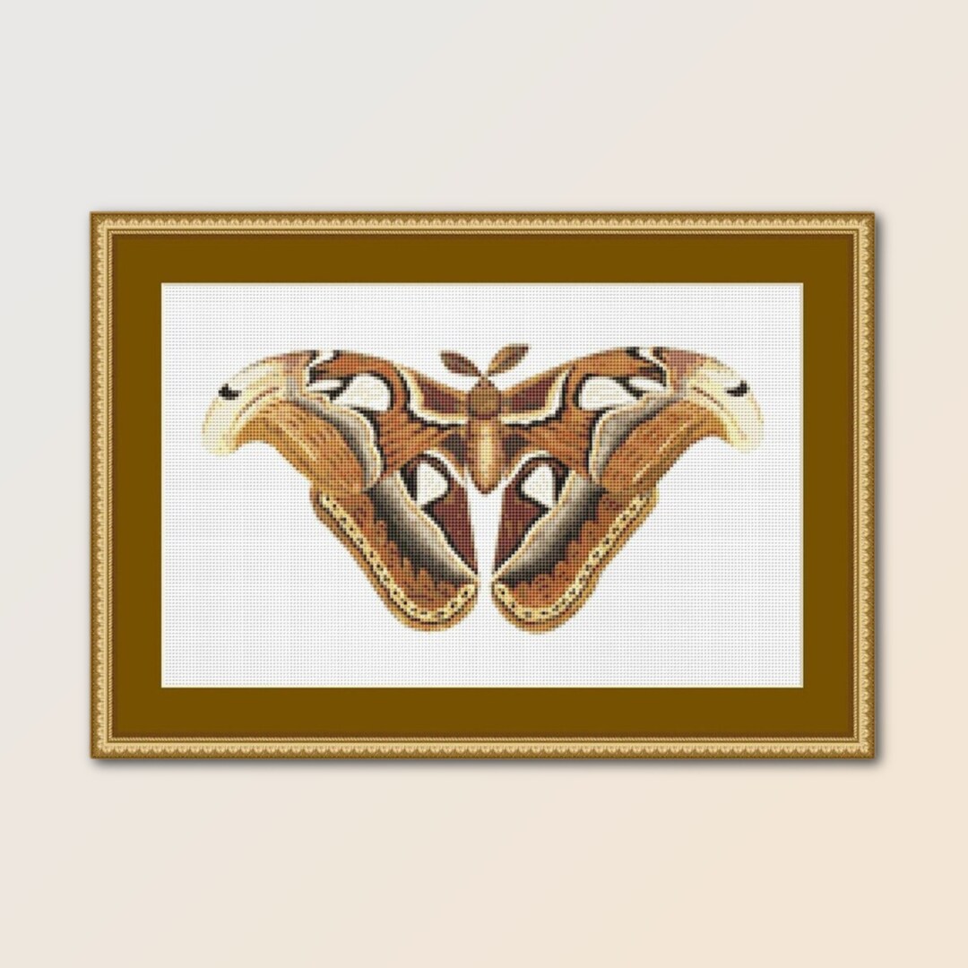 Atlas Moth Cross Stitch Pattern, Instant Download Printable Chart (052 ...