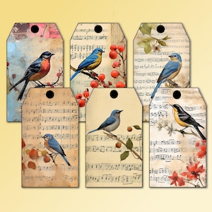 Zes afdrukbare zangvogeltags voor ongewenste tijdschriften, kunstdagboeken, scrapbooking, kaarten, geschenken, jpg en pdf, instant download bloemen ephemera (T010)