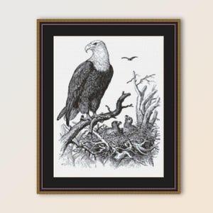 Adler & Nest Kreuzstichmuster, sofortiger digitaler Download, druckbare PDF Vogelkarte (530)