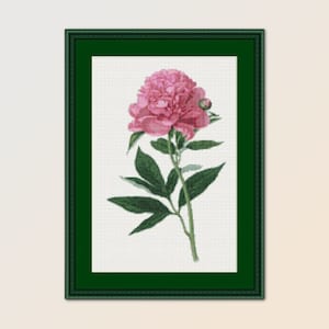 Printable Peony Cross Stitch Pattern, Instant Digital Download Floral Chart (851)