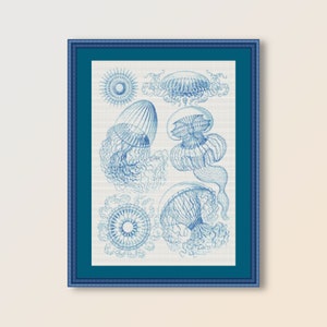 May include: A framed print of a blue and white illustration of jellyfish. The print features five jellyfish in various poses, including a jellyfish with its tentacles extended and a jellyfish with its bell closed. The print also includes two circular designs that resemble jellyfish.