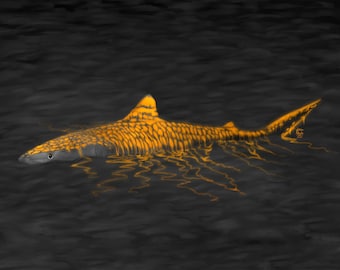 Tigerhai - Kunstdruck - Ocean Wildlife Poster