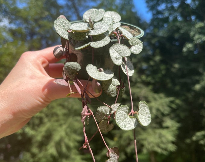 Silver Glory String of Hearts Long Strand String of Hearts Etsy