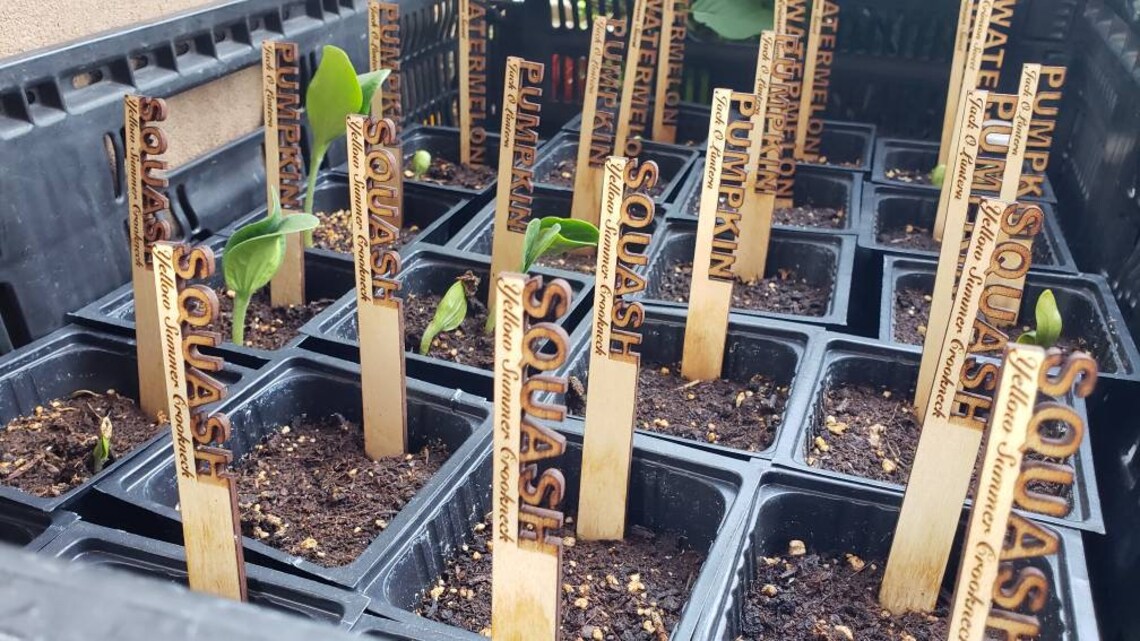 Wooden Garden Identification Stakes Youth Robotics Etsy