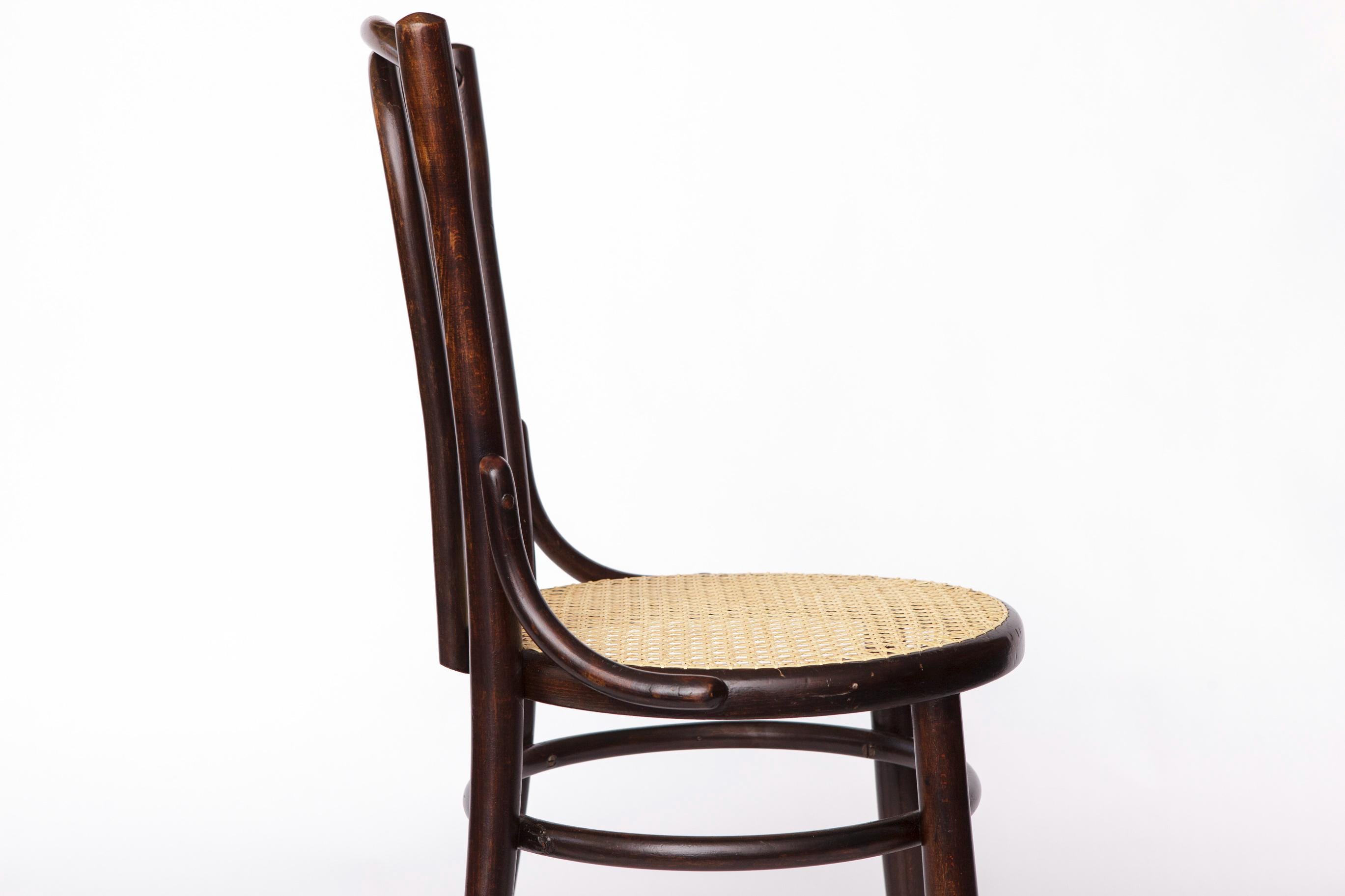 Fischel Bentwood Chair – Early 20th Century Thonet Style