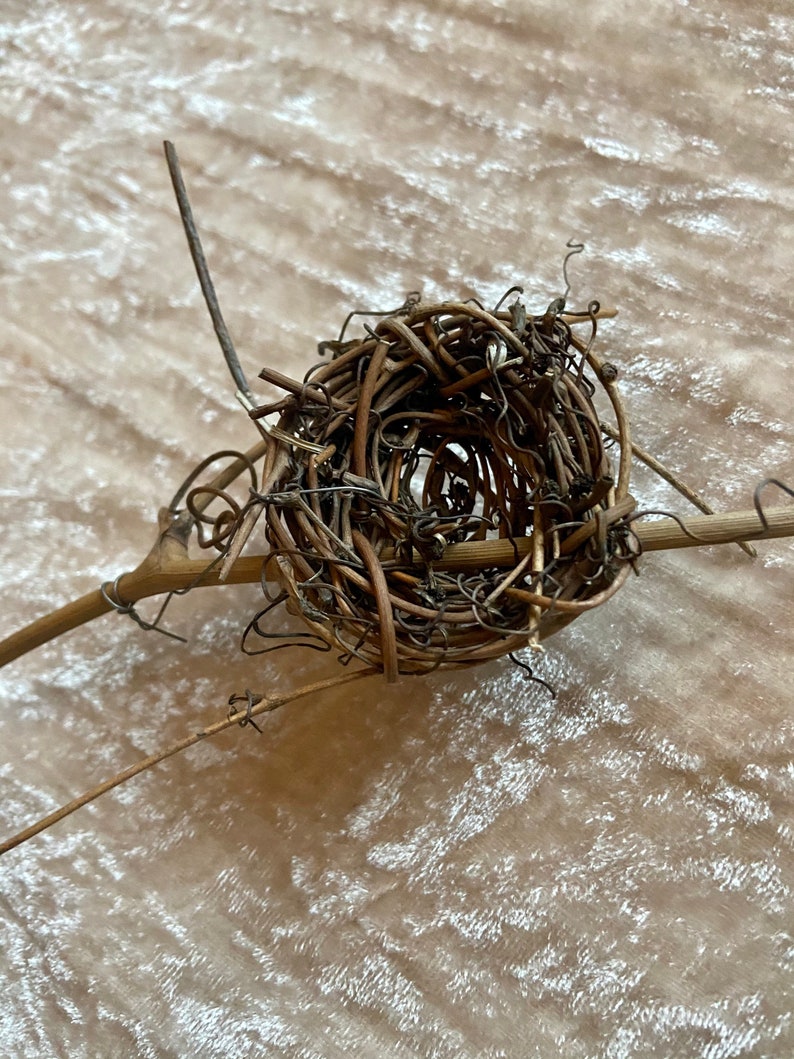 Birds Nest Spring Equinox Bird/'s Nest Branch Ostara Decor Easter Decor Altar Decor Pagan Witchcraft Decor Sabbats