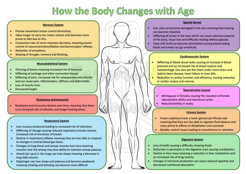 How the Body Changes With Age - Etsy