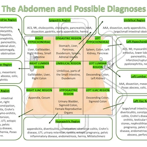 The Abdomen and Possible Diagnoses