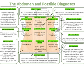 The Abdomen and Possible Diagnoses