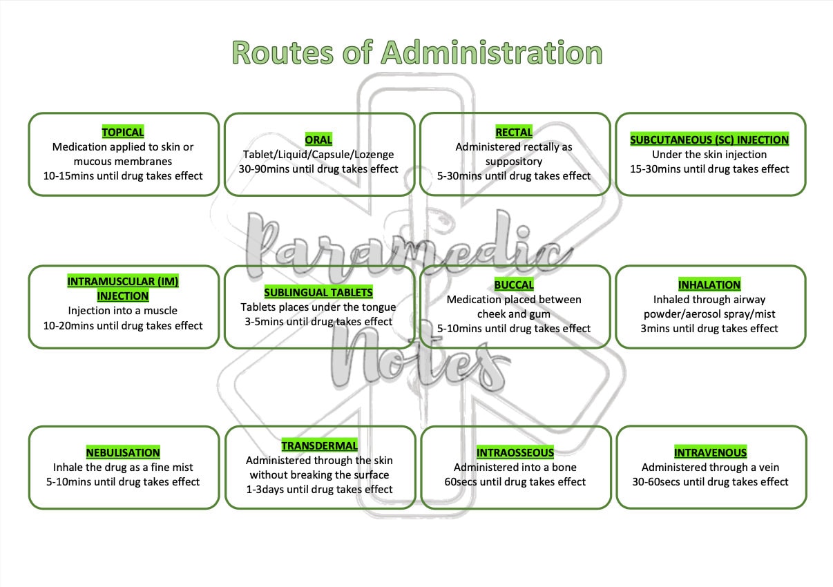 What's Inside A Flower hardcover boek, op maat gesigneerd boek door auteur.  - Etsy België, image size:1206x850