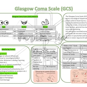 Può includere: Un grafico intitolato "Glasgow Coma Scale (GCS)" con sfondo verde e testo bianco. Il grafico è diviso in tre sezioni: Occhi, Verbale e Motorio. Ogni sezione ha un punteggio da 1 a 6. Il grafico include anche una sezione intitolata "Fattori interferenti" con sfondo verde e testo bianco. Il grafico include anche una sezione intitolata "Suggerimenti clinici per stimoli dolorosi" con sfondo verde e testo bianco. Il grafico include anche una sezione intitolata "Fai un pugno" "Prendi le mie dita" con sfondo verde e testo bianco. Il grafico include anche una sezione intitolata "Obbedisce ai comandi" con sfondo verde e testo bianco.