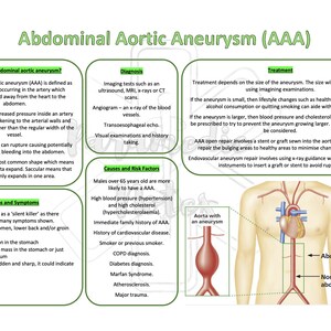 Pode incluir: Diagrama que ilustra um aneurisma da aorta abdominal (AAA), uma condição em que a aorta, a artéria principal que transporta sangue do coração, se dilata ou se alarga. O diagrama mostra uma aorta saudável e uma aorta com um aneurisma. O diagrama também inclui informações sobre as causas, os fatores de risco, o diagnóstico, os sinais e sintomas, e o tratamento do AAA.