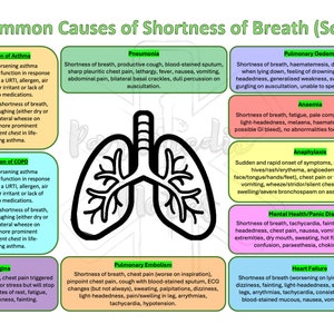May include: A green and white infographic with a black illustration of lungs. The infographic lists common causes of shortness of breath (SOB) with symptoms and descriptions for each condition. The conditions listed are: Exacerbation of Asthma, Exacerbation of COPD, Angina, Pneumonia, Pulmonary Embolism, Pulmonary Oedema, Anaemia, Anaphylaxis, Mental Health/Panic Disorders, and Heart Failure.