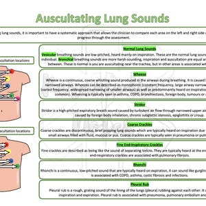 May include: Diagram showing the locations on the chest where a doctor would listen to lung sounds. The diagram shows the front and back of the chest with arrows indicating the direction of the stethoscope. The diagram is labeled with the terms "Anterior chest auscultation locations" and "Posterior chest auscultation locations".