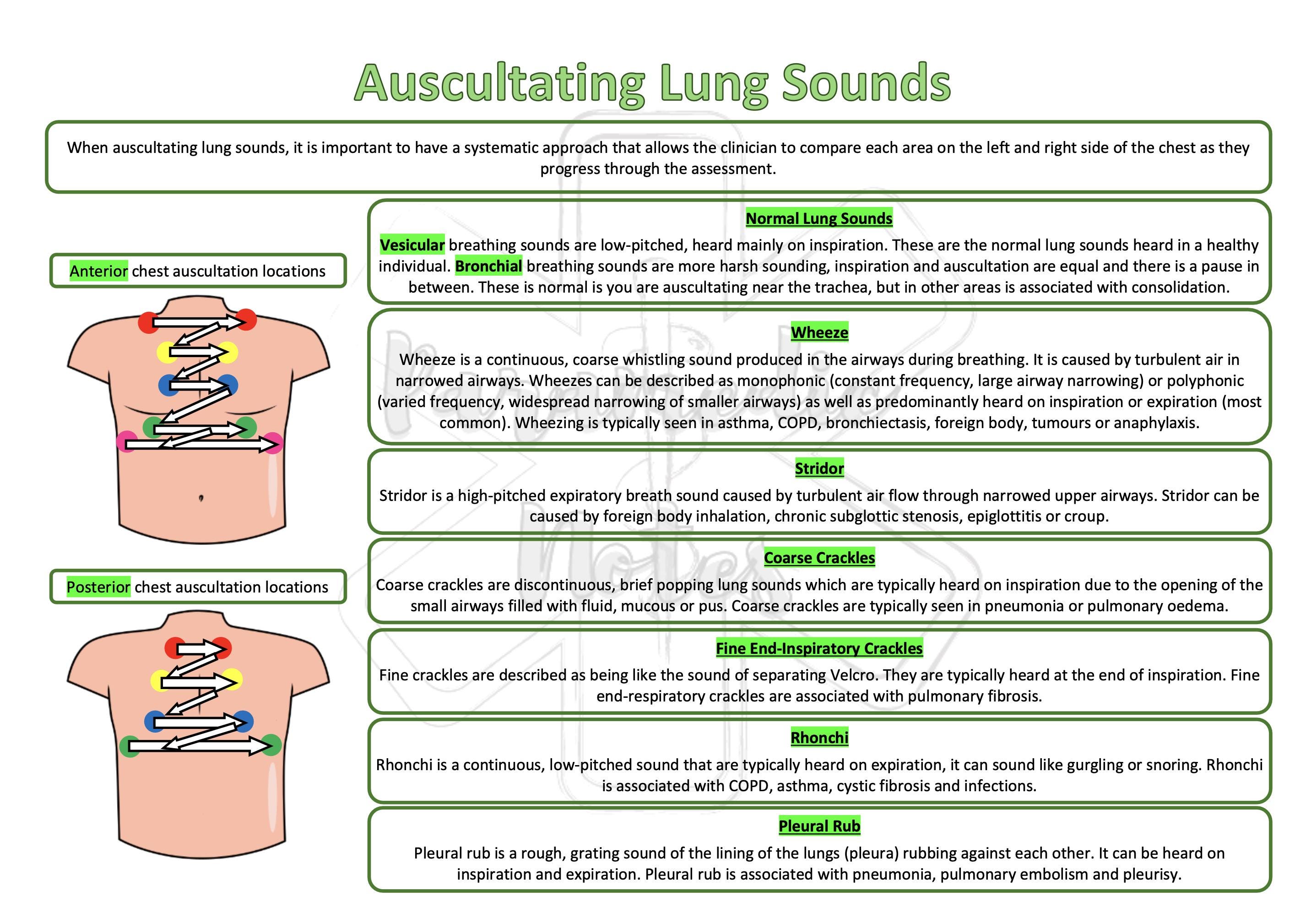 Auscultating Lung Sounds - Etsy