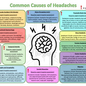 May include: A colourful infographic with a human head illustration in the centre. The infographic lists common causes of headaches, including stroke, subarachnoid haemorrhage, transient ischemic attack, temporal arteritis, meningitis and encephalitis, space occupying lesion, carotid dissection, traumatic brain injury, sinus headache, tension headache, cluster headache, and migraine. Each cause is described with symptoms and whether it requires urgent hospital assessment.