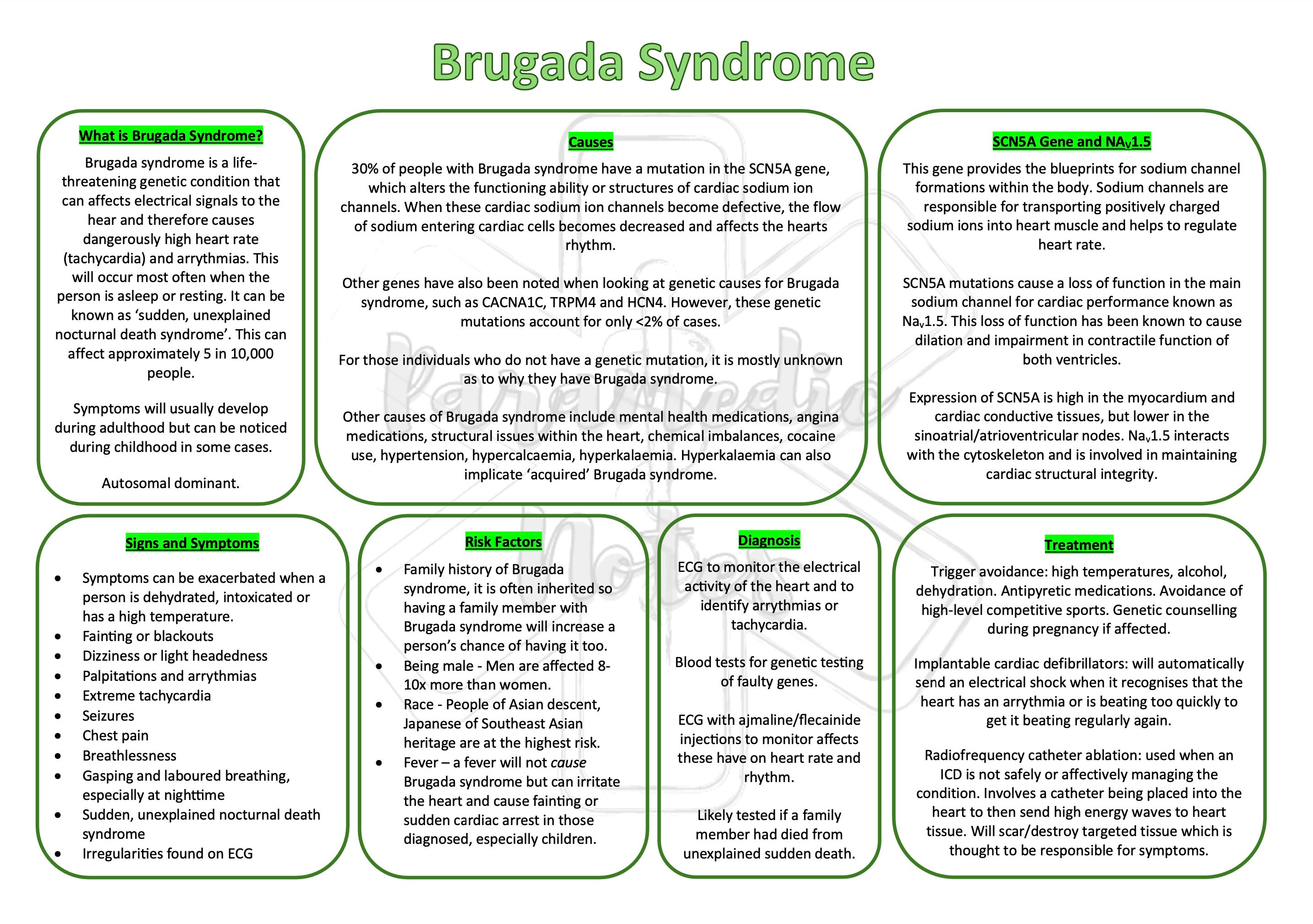 De Beweging, image size:2866x2018