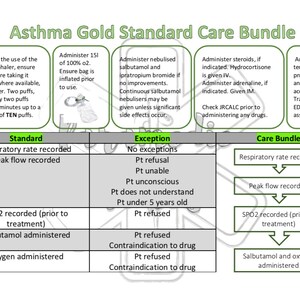 May include: A medical infographic titled "Asthma Gold Standard Care Bundle" detailing asthma care protocols. It provides guidance on inhaler use, oxygen administration, and medication. The graphic is designed for healthcare professionals.