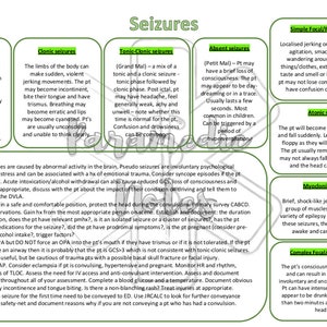 Seizures