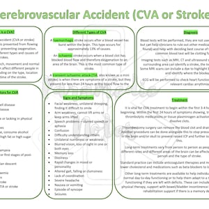 May include: A colourful infographic about cerebrovascular accidents (CVA) or strokes. The infographic includes information about what a CVA is, different types of CVAs, risk factors, signs and symptoms, diagnosis, and treatment.
