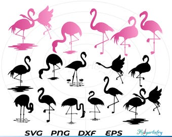 May include: A set of 14 black and pink flamingo silhouette SVG cut files. The silhouettes are in various poses, including standing, flying, and preening.