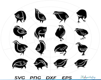Bird svg, Quilling  Bird svg bundle, Bird silhouette, Bird cut files, Bird clipart, Birds Clipart, Bird svg files foor cricut,  Bird png