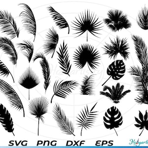 Könnte beinhalten: Ein Set mit 20 schwarzen und weißen Silhouettenbildern von verschiedenen Palmen, Farnen und tropischen Pflanzen. Die Bilder sind perfekt für Bastel-, Scrapbooking- und digitale Designprojekte.