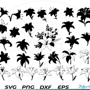 May include: A collection of 25 black silhouette images of various lily flower designs. The images are arranged in a circular pattern.