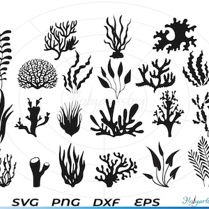Coral Ocean SVG, Coral svg, Algas marinhas svg, Sea Plant svg, Clipart, Arquivos cortados para silhueta, Arquivos para Cricut, Vetor, dxf, png, Design